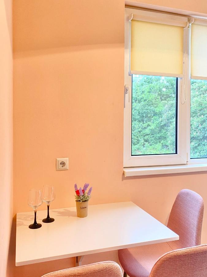 Sunny Central Apartment With Tv & Wi-Fi Stara Sagora Exterior foto